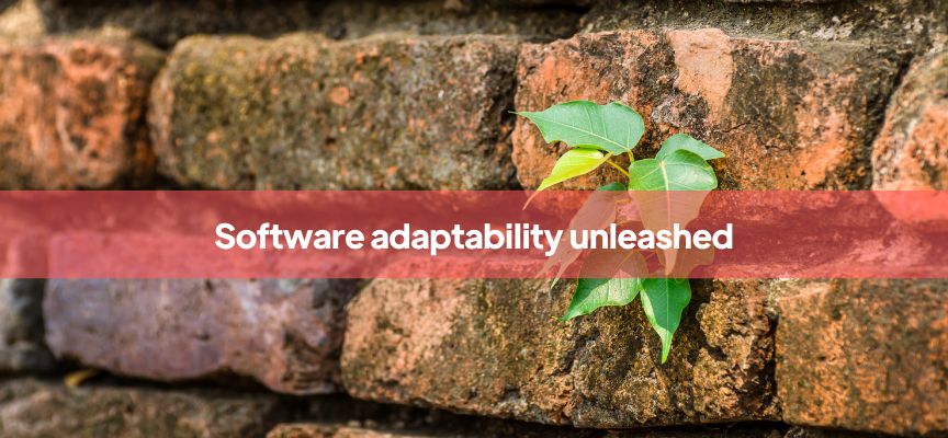 The role of adaptive maintenance in evolving software environments